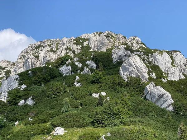 Szczyt Veliki Risnjak 528 Parku Narodowym Risnjak Crni Lug Chorwacja — Zdjęcie stockowe