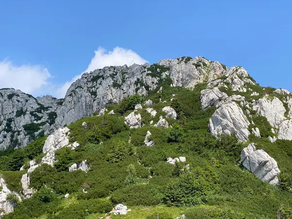 Pico Veliki Risnjak 528 Parque Nacional Risnjak Crni Lug Croacia —  Fotos de Stock