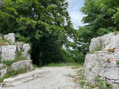 İşaretli yollardan geçen Gümüş Kapı veya doğal olarak oluşturulan Ayı Kapısı geçidi - Hırvatistan (Krizanje markiranih staza Srebrna vrata ili prirodno oblikovani prolaz Medvedja vrata, Crni Lug - Hrvatska)
