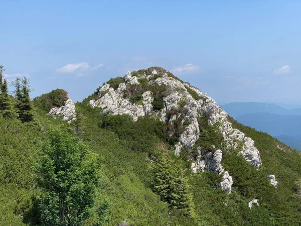 Bergvegetation Und Felsen Gipfelgebiet Des Nationalparks Risnjak Crni Lug Kroatien — Stockfoto