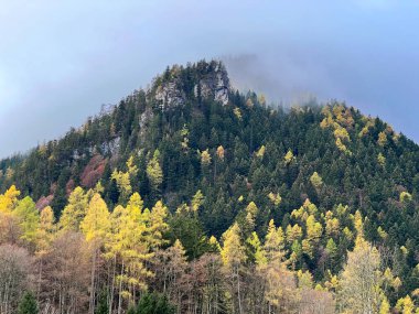 Taminatal nehir vadisinin üstündeki dağların eteklerindeki karışık dağ ormanlarında ve İsviçre Alpleri 'nin kütlelerinde, Vaettis - İsviçre' nin St. Gallen Kantonu (Schweiz)