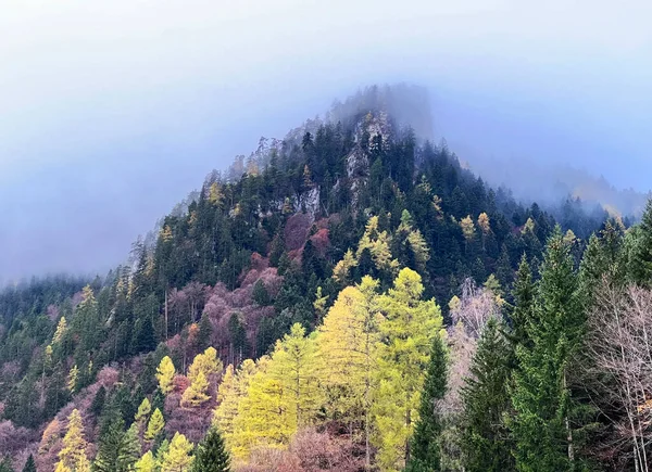 Kouzelné Podzimní Barvy Smíšeném Horském Lese Úpatí Hor Nad Údolím — Stock fotografie