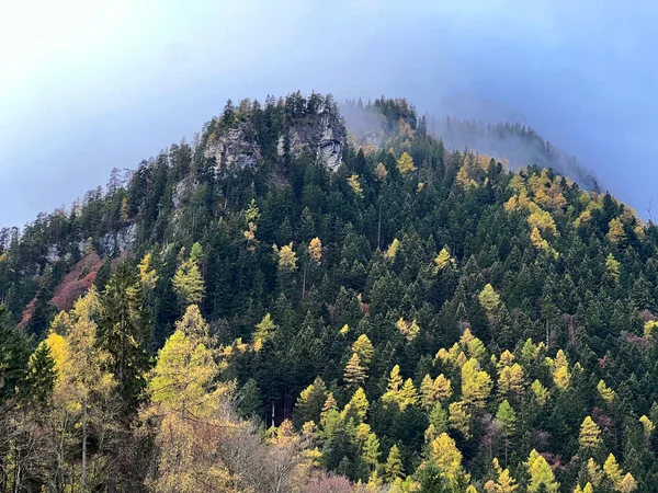 Zauberhafte Spätherbstliche Farben Bergmischwald Fuße Der Berge Über Dem Taminatal — Stockfoto