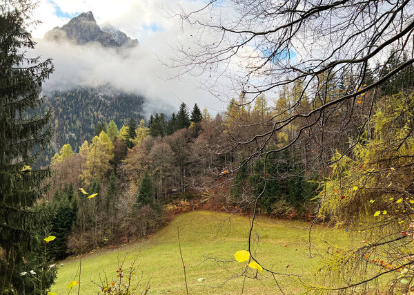 Magical late autumn colors in the mixed mountain forest at the foot of the mountains above the Taminatal river valley and in the massif of the Swiss Alps, Vaettis - Canton of St. Gallen, Switzerland (Schweiz)
