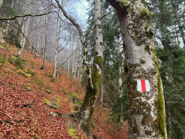 Hegymászó Táblák Jelzések Alpesi Hegyek Lejtőin Taminatal Folyó Völgye Felett — Stock Fotó