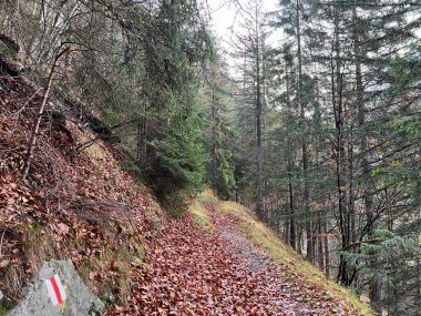 Taminatal nehir vadisinin yukarısındaki dağlık yamaçlarda ve İsviçre Alpleri, Vaettis - İsviçre 'nin St. Gallen Kantonu (Kanton St. Gallen, Schweiz)