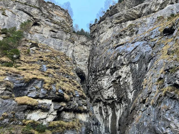 Невеликий Дикий Альпійський Каньйон Парлітобель Над Водосховищем Гіґервальді Над Долиною — стокове фото