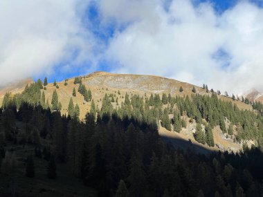 Yüksek kozalaklı ormanlar ve Calfeisental vadisinin yukarısındaki dağlarda sonbahar otlakları (UNESCO Dünya Mirası Tektonik Arena Sardona), Vaettis - İsviçre (Schweiz)