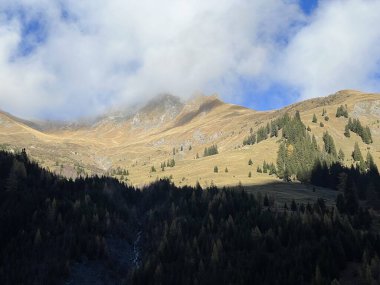 Yüksek kozalaklı ormanlar ve Calfeisental vadisinin yukarısındaki dağlarda sonbahar otlakları (UNESCO Dünya Mirası Tektonik Arena Sardona), Vaettis - İsviçre (Schweiz)