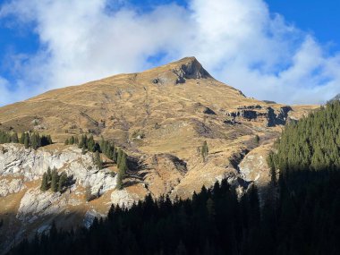 Yüksek kozalaklı ormanlar ve Calfeisental vadisinin yukarısındaki dağlarda sonbahar otlakları (UNESCO Dünya Mirası Tektonik Arena Sardona), Vaettis - İsviçre (Schweiz)