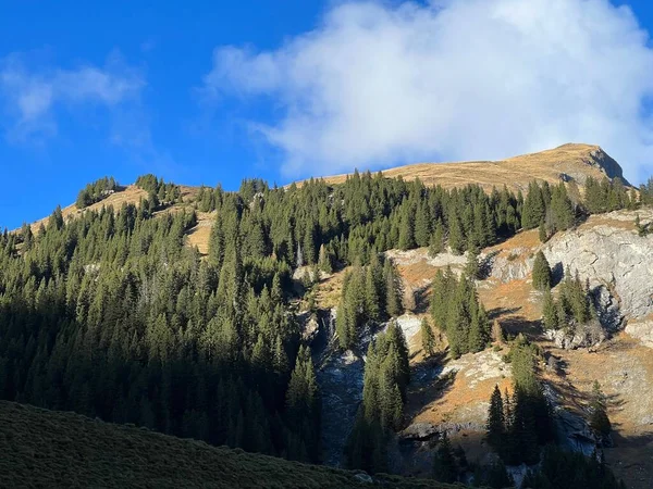 Altas Florestas Coníferas Pastagens Alpinas Outono Nos Cumes Das Montanhas — Fotografia de Stock