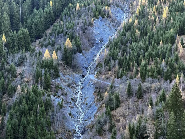 Альпийский Поток Малансербах Осенней Обстановке Смешанного Горного Леса Над Долиной — стоковое фото