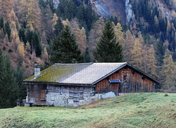 Traditionell Schweizisk Arkitektur Och Alpina Trähus Höstmiljö Bergsbetesmarker Och Blandade — Stockfoto