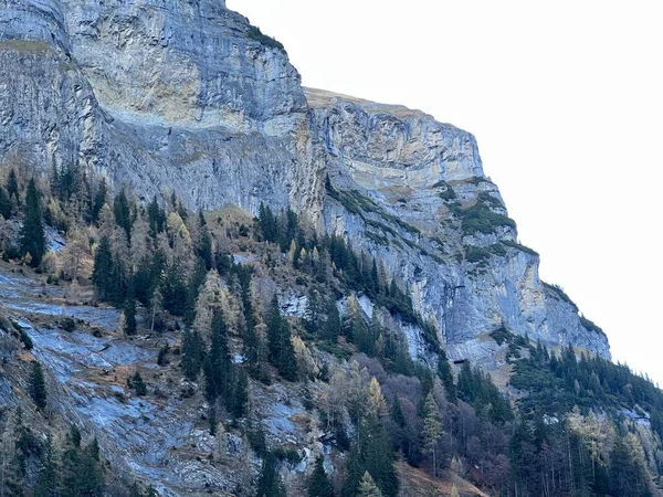 教科文组织世界遗产构造竞技场Sardona Unesco Welterbe Tektonikarena Sardona 的Gigerwaldsee湖 Gigerwald湖 上方的陡峭石崖和垂直岩石 Schweiz — 图库照片