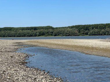 Vukovar yakınlarındaki tarihi yaz kuraklığı sırasında Tuna kıyısında milyonlarca ölü nehir kabuğu, Vukovar - Hırvatistan (Milijuni uginulih rijecnih skoljki na obali Dunava u vrijeme velike povijesne suse, Vukovar - Hrvatska)