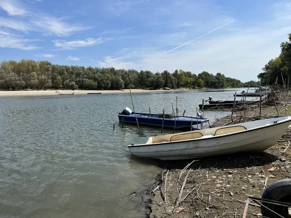 Danube Avec Des Bancs Sable Côté Site Archéologique Vucedol Pendant — Photo