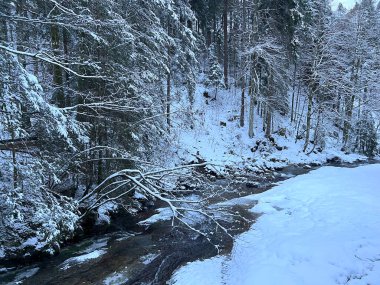 Tosbach Alpstein dağ sırasının yamaçlarında ve İsviçre Alpleri, Urnaesch (ya da Urnasch) - Appenzell Kantonu, İsviçre / Schweiz