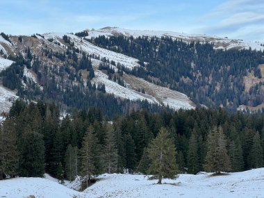İsviçre kantonundaki Appenzell Innerrhoden, Urnaesch (ya da Urnasch) - İsviçre / Schweiz kantonunda Kronberg dağının yamaçlarına ilk kar yağan kış atmosferi