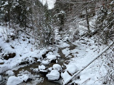 Alp deresi Fallbach Alpstein dağ sırasının yamaçlarında ve İsviçre Alpleri, Urnaesch (veya Urnasch) - Appenzell Kantonu, İsviçre / Schweiz