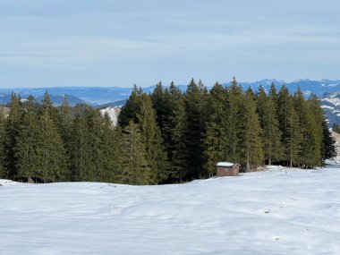 Alpstein dağ kütlesi Urnaesch 'in (ya da Urnasch) Alpstein dağlık kesimindeki karışık ağaçlara ilk kar yağan sonbahar atmosferi - Appenzell Innerrhoden Kantonu, İsviçre / Schweiz