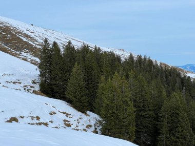 Alpstein dağ kütlesi Urnaesch 'in (ya da Urnasch) Alpstein dağlık kesimindeki karışık ağaçlara ilk kar yağan sonbahar atmosferi - Appenzell Innerrhoden Kantonu, İsviçre / Schweiz