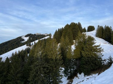 Alpstein dağ kütlesi Urnaesch 'in (ya da Urnasch) Alpstein dağlık kesimindeki karışık ağaçlara ilk kar yağan sonbahar atmosferi - Appenzell Innerrhoden Kantonu, İsviçre / Schweiz