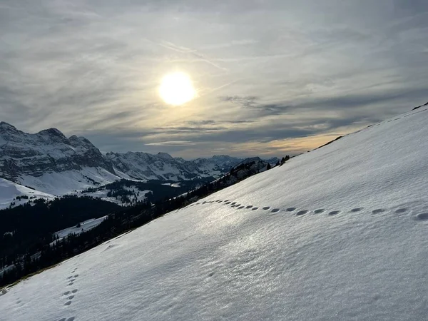 Late evening winter sun over the snow-covered slopes of the Alpstein mountain range and before dusk over massif of the Swiss Alps, Urnaesch (or Urnasch) - Canton of Appenzell, Switzerland / Schweiz