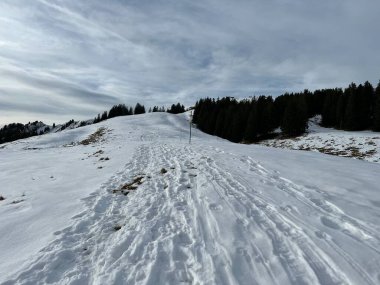 Harika kış yürüyüş yolları ve Alpstein dağ sırasının yamaçlarında taze alp karları, Urnaesch (ya da Urnasch) - İsviçre 'nin Appenzell Innerrhoden Kantonu (Schweiz)