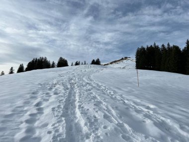 Harika kış yürüyüş yolları ve Alpstein dağ sırasının yamaçlarında taze alp karları, Urnaesch (ya da Urnasch) - İsviçre 'nin Appenzell Innerrhoden Kantonu (Schweiz)