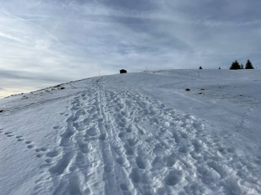 Harika kış yürüyüş yolları ve Alpstein dağ sırasının yamaçlarında taze alp karları, Urnaesch (ya da Urnasch) - İsviçre 'nin Appenzell Innerrhoden Kantonu (Schweiz)