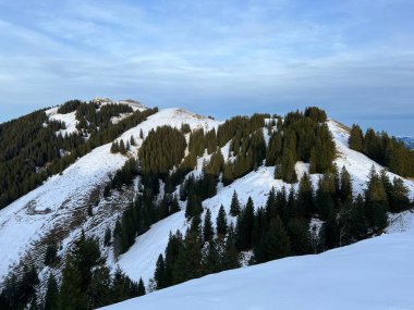 Kronberg Dağı Zirvesi (Kronberg-Gipfel) ve Alpstein Dağları 'nın ilk sonbahar karı, Urnaesch (ya da Urnasch) - Appenzell Innerrhoden Kantonu, İsviçre / Schweiz