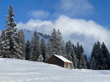 Indigenous alpine huts and wooden cattle stables in the Swiss Alps covered with fresh first snow over the Lake Walen or Lake Walenstadt (Walensee), Amden - Canton of St. Gallen, Switzerland / Schweiz