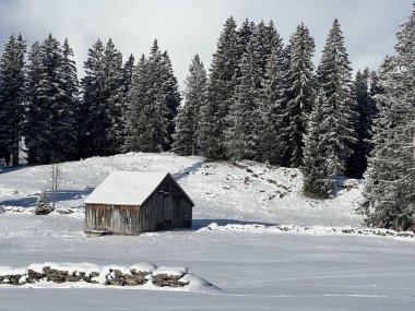 Indigenous alpine huts and wooden cattle stables in the Swiss Alps covered with fresh first snow over the Lake Walen or Lake Walenstadt (Walensee), Amden - Canton of St. Gallen, Switzerland / Schweiz