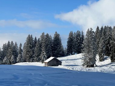 Indigenous alpine huts and wooden cattle stables in the Swiss Alps covered with fresh first snow over the Lake Walen or Lake Walenstadt (Walensee), Amden - Canton of St. Gallen, Switzerland / Schweiz