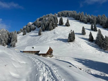 Indigenous alpine huts and wooden cattle stables in the Swiss Alps covered with fresh first snow over the Lake Walen or Lake Walenstadt (Walensee), Amden - Canton of St. Gallen, Switzerland / Schweiz