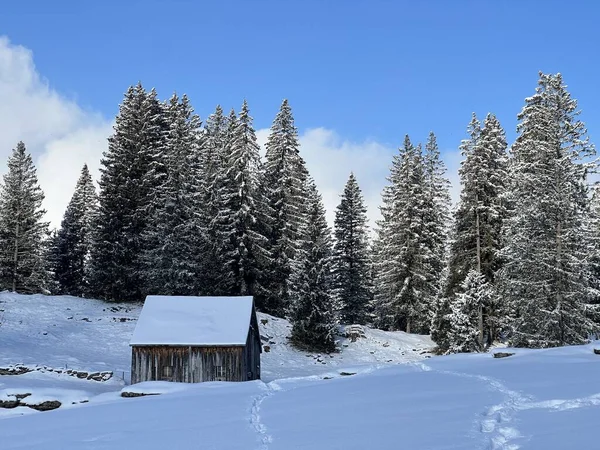 Indigenous alpine huts and wooden cattle stables in the Swiss Alps covered with fresh first snow over the Lake Walen or Lake Walenstadt (Walensee), Amden - Canton of St. Gallen, Switzerland / Schweiz