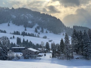 Picturesque canopies of alpine trees in a typical winter atmosphere after the winter snowfall over the Lake Walen or Lake Walenstadt (Walensee) and in the Swiss Alps, Amden - Switzerland / Schweiz
