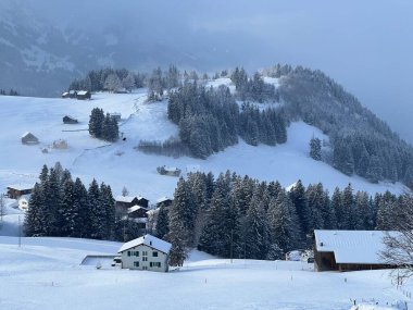 Picturesque canopies of alpine trees in a typical winter atmosphere after the winter snowfall over the Lake Walen or Lake Walenstadt (Walensee) and in the Swiss Alps, Amden - Switzerland / Schweiz