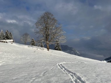 Wonderful winter hiking trails and traces over the Lake Walen or Lake Walenstadt (Walensee) and in the fresh alpine snow cover of the Swiss Alps, Amden - Canton of St. Gallen, Switzerland / Schweiz