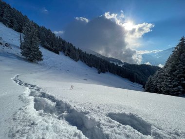 Wonderful winter hiking trails and traces over the Lake Walen or Lake Walenstadt (Walensee) and in the fresh alpine snow cover of the Swiss Alps, Amden - Canton of St. Gallen, Switzerland / Schweiz