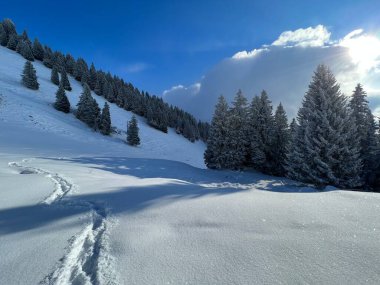 Wonderful winter hiking trails and traces over the Lake Walen or Lake Walenstadt (Walensee) and in the fresh alpine snow cover of the Swiss Alps, Amden - Canton of St. Gallen, Switzerland / Schweiz