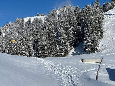 Wonderful winter hiking trails and traces over the Lake Walen or Lake Walenstadt (Walensee) and in the fresh alpine snow cover of the Swiss Alps, Amden - Canton of St. Gallen, Switzerland / Schweiz