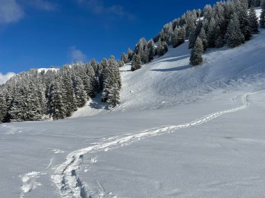 Wonderful winter hiking trails and traces over the Lake Walen or Lake Walenstadt (Walensee) and in the fresh alpine snow cover of the Swiss Alps, Amden - Canton of St. Gallen, Switzerland / Schweiz