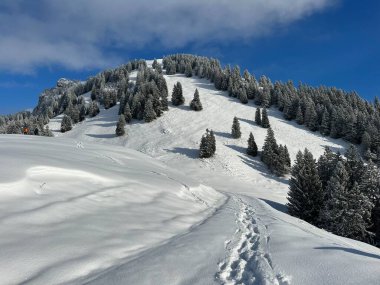 Wonderful winter hiking trails and traces over the Lake Walen or Lake Walenstadt (Walensee) and in the fresh alpine snow cover of the Swiss Alps, Amden - Canton of St. Gallen, Switzerland / Schweiz