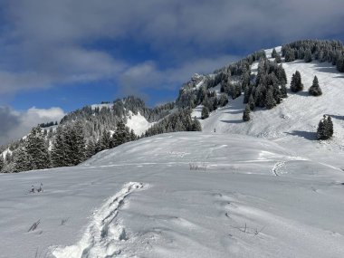 Wonderful winter hiking trails and traces over the Lake Walen or Lake Walenstadt (Walensee) and in the fresh alpine snow cover of the Swiss Alps, Amden - Canton of St. Gallen, Switzerland / Schweiz