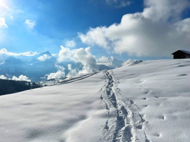 Wonderful winter hiking trails and traces over the Lake Walen or Lake Walenstadt (Walensee) and in the fresh alpine snow cover of the Swiss Alps, Amden - Canton of St. Gallen, Switzerland / Schweiz