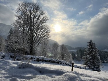 Icy winter sun over a fresh snow cover in the Swiss Alps and in the Amden winter resort area above the Lake Walen or Lake Walenstadt (Walensee) - Canton of St. Gallen, Switzerland / Schweiz