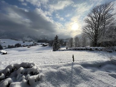 Icy winter sun over a fresh snow cover in the Swiss Alps and in the Amden winter resort area above the Lake Walen or Lake Walenstadt (Walensee) - Canton of St. Gallen, Switzerland / Schweiz