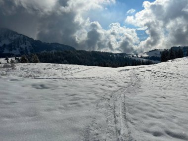 Wonderful winter hiking trails and traces over the Lake Walen or Lake Walenstadt (Walensee) and in the fresh alpine snow cover of the Swiss Alps, Amden - Canton of St. Gallen, Switzerland / Schweiz