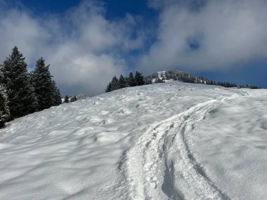 Wonderful winter hiking trails and traces over the Lake Walen or Lake Walenstadt (Walensee) and in the fresh alpine snow cover of the Swiss Alps, Amden - Canton of St. Gallen, Switzerland / Schweiz
